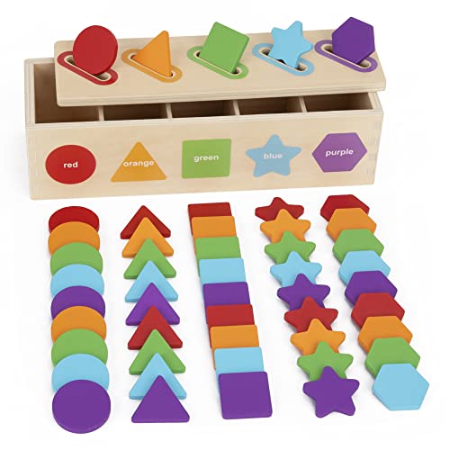 Montessori Color Sorting & Stacking Toy – Wooden Shape Matching Learning Set for Toddlers 1–3 Years
