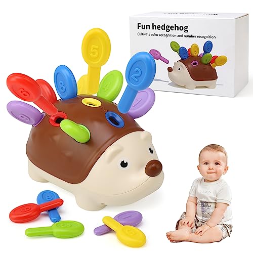 Baby Sensory Hedgehog Montessori Toy – Fine Motor Skills Sorting Game for Toddlers 18 Months+