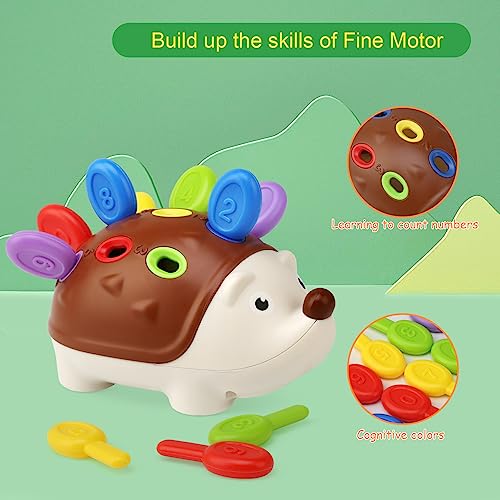 Baby Sensory Hedgehog Montessori Toy – Fine Motor Skills Sorting Game for Toddlers 18 Months+