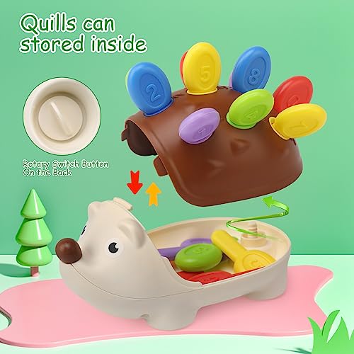 Baby Sensory Hedgehog Montessori Toy – Fine Motor Skills Sorting Game for Toddlers 18 Months+