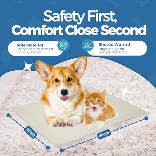 Premium Thermal Pet Bed – Self-Heating Cat Cushion with Soft Removable Cover